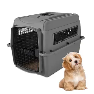 Factory travel Transport Box portable durable cat regulated Airline Shipping approved pet dog cages carriers