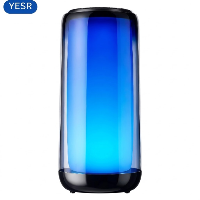 Portable Wireless Party Speaker Deep Bass Subwoofer with Dynamic RGB Light, Translucent Design, Hand Strap, AUX/TF Supported