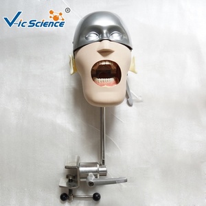 Simulatori <span class=keywords><strong>di</strong></span> <span class=keywords><strong>formazione</strong></span> fantasma dentale avanzati testa modello <span class=keywords><strong>di</strong></span> insegnamento <span class=keywords><strong>di</strong></span> <span class=keywords><strong>scienze</strong></span> mediche modello <span class=keywords><strong>di</strong></span> <span class=keywords><strong>educazione</strong></span> dei denti umani - Product Image 4
