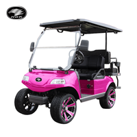 Mini UTV tout-terrain 4 places, voiture à énergie nouvelle, buggy tout-terrain, voiturette de golf électrique, moteur AC 6,3 kW, batterie 48 V