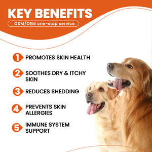 Voeding Omega Zalmolie Doordrenkt Zacht Kauwt Visolie Omega 3 Traktaties Voor Hondenhuid En Vacht Huisdier Gezondheidszorg & Supplementen - Product Image 4