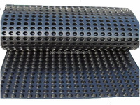 Tapis de drainage HDPE 20mm 30mm bord alvéolé étanche à l'eau Geonet Roadbed Garden Application Geocomposite Plastic Draining Board