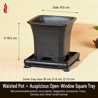 Pot de fleurs en résine pour jardin, style chinois minimaliste, avec plusieurs trous de drainage, pour orchidée de la baie rouge à feuilles fines