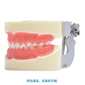 Modelo de preparación dental para niños de 24 dientes, marco de aluminio, dientes de resina, 102x92x68mm, para educación dental - Product Image 2