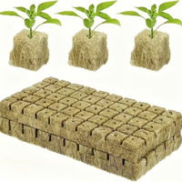 Substrats de culture hors-sol agricoles, cubes de culture horticole, plantes succulentes, qualité commerciale, écologiques, pour pépinières