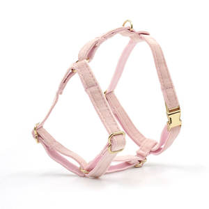 Tinny สายรัดสัตว์เลี้ยงลูกสุนัขขนาดเล็กมอลตา,สายจูงสุนัขแมวชิวาว่ารักออกแบบโลโก้ได้เอง - Product Image 4