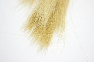 Juguete Sexual para Parejas, Látigo de Cuero con Pelo de Caballo Real, Látigo de Cuero para Coquetear, Azotes, Accesorios Exóticos con Borla - Product Image 4
