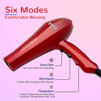 Sèche-cheveux électrique professionnel w, nouveau sèche-cheveux et styliste pour Salon, Odm, Oem, rouge et jaune