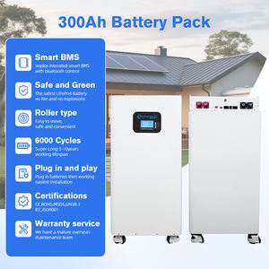 Batería Lifepo4 de 48v 300ah, Paquete de Baterías de Litio Solares de 51.2v 15kwh, Sistema de Energía Solar, Paquete de Baterías de Iones de Litio - Product Image 6