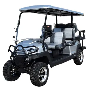 Shining electric garden utility vehicles New Designed golf buggy for sale