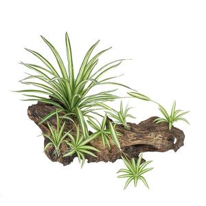 Plante araignée chinoise réaliste fausse herbe grande plante murale artificielle pour décor d'hôtel - Product Image 1