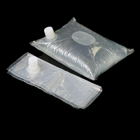 Sacs transparents dans la boîte pochette bec bouchon à vis sac à eau 5L 10L 20L BIB pochette sac en plastique avec Valve