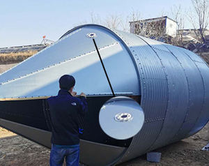 Silos <span class=keywords><strong>de</strong></span> Acero Automáticos para Granos y <span class=keywords><strong>Semillas</strong></span> <span class=keywords><strong>de</strong></span> <span class=keywords><strong>Girasol</strong></span> <span class=keywords><strong>de</strong></span> 3 y 20 Toneladas en Venta, Producto para Fábricas <span class=keywords><strong>de</strong></span> Alimentos para Aves <span class=keywords><strong>de</strong></span> Corral - Product Image 3