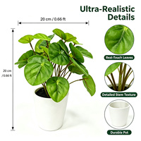 Tanaman Rumput Uang Plastik Artificial Mirip Asli dalam Pot 20cm Verde untuk Dekorasi Kamar Bayi/Airbnb, MOQ Rendah