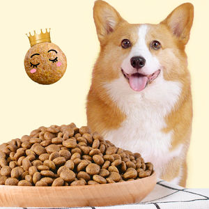 Perros de compañía hipoalergénicos, comida seca, pakain ng aso, promoción personalizada - Product Image 2