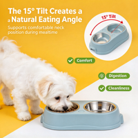 Mangeoire inclinée pour chiens et chats, angle de 15 degrés, pour petits chiens et chatons, alimentation quotidienne avec bols amovibles en acier inoxydable, gris