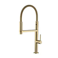 Robinet de cuisine contemporain Spring pour évier à légumes, doré, télescopique, monotrou, eau chaude et froide, en acier inoxydable brossé