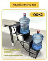 Vente en gros d'accessoires pour animaux de compagnie pour l'extérieur, échelle d'escalade pour chiens et chats, rampe pliable, escalier pour animaux de compagnie