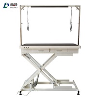 Table de toilettage pour animaux de compagnie LIZE PET en acier inoxydable de luxe avec 2 tiroirs pour le nettoyage des poils d'animaux