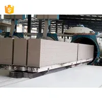 Profession elle Konstruktion AAC Block Maschine Zement AAC Ziegel Produktions linie zu verkaufen