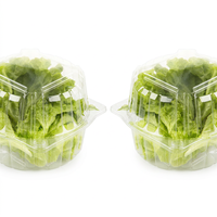 Boîte de conservation alimentaire carrée jetable en plastique transparent avec couvercle – Empilable, hermétique, pour snacks, sandwichs, fruits secs – Idéale pour la maison et le supermarché