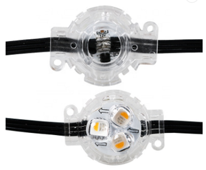 Gratis Verzending UCS2904 WS2811 Pixel 30Mm 12V Permanente Kerstvakantie Track Residentiële Landschap Verlichting Led Punt Licht - Product Image 5