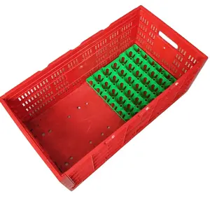 Stackable Plastic Egg Crates Movable Boxes Foldable Storage Basket Egg trays