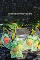 Organza-Netzabdeckung für Trauben, Fruchtschutz-Plastiktüte für Obst und Blumen, Trauben-, Pfirsich- und Apfel-Schutzbeutel
