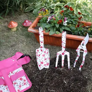 Caixa de cor floral rosa, mini conjunto de ferramenta de jardim, promoção, grande venda, conjuntos de presente de jardinagem