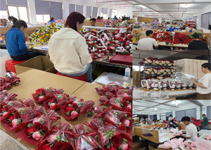 Di buona qualità farcito orsacchiotto rosa Bouquet <span class=keywords><strong>peluche</strong></span> di <span class=keywords><strong>san</strong></span> <span class=keywords><strong>valentino</strong></span> carino orsacchiotto di <span class=keywords><strong>peluche</strong></span> con Bouquet di fiori - Product Image 5