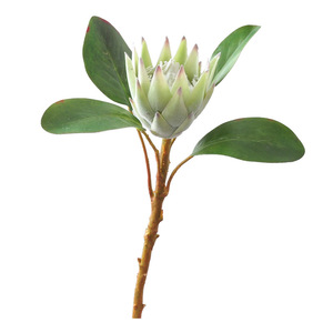 Bouquet de Protea Artificielle Yoshinobu en Soie Rose pour Décoration Intérieure, Salon et Arrangements de Mariage - Product Image 5