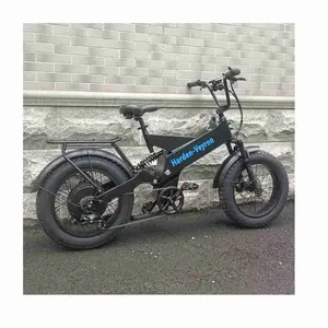 customized and comfortable fatbike battery fat tire electric bike removable battery electric bicycle