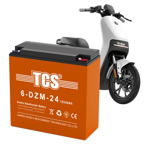 Batterie de véhicule électrique TCS 6-DZM-24, batterie scellée sans entretien rechargeable pour moteur électrique de pêche à la traîne - Product Image 1