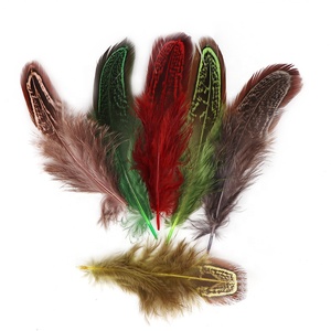 6-10厘米批发高品质染色图案多色雉鸡羽毛中国快递发货珠宝DIY 100件/包48小时送达 - Product Image 6