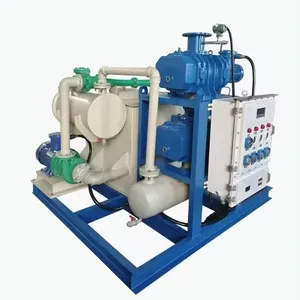 Werksmaßnahme Gusseisen hohe Pumpgeschwindigkeit Wasserring-Vakuumpumpe Flüssigkeitsring-Wurzeln-Vakuumgerät
