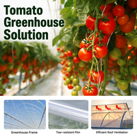 Système de production hydroponique avancé pour tomates, serre agricole multi-chapelles à structure en acier galvanisé renforcé