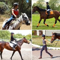 Collants d'équitation pour filles avec logo personnalisé Pantalon d'équitation respirant à fermeture éclair sur le devant avec poches au genou Pantalon d'équitation serré pour enfants