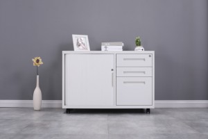 Storage Unit for Home Office KD Structure Steel Password-protected Mobile Cabinet with File Folder and Hanger <b>Desk</b> - Product Image 6