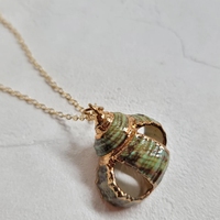 Dainty Bohème Pendentif Étanche En Acier Inoxydable Coquillage Conque Naturel 18K Or Trempé Shell Collier D'été Plage Bijoux