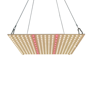 Panneau quantique à spectre complet dimmable 120W pour culture de plantes en serre, plantes médicinales et plantes d'intérieur - Product Image 3