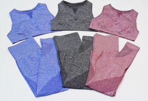 Las mujeres 2 piezas sin costura Leggings y sujetador Rosa Conjunto de Trabajo No marca Vetements las mujeres ropa deportiva - Product Image 6
