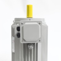 YE2-160L-4 15kW AC Dreiphasenmotor 4-polig 1450 U/min für Pumpenanlagen