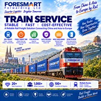 Conteneur de fret maritime Train Agent de transport Ddp livraison Transitaire de transport Chine Islande Suède Espagne Portugal Italie Europe à