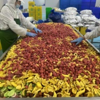 Smakelijke En Gezonde Gemengde Gedroogde Fruit-En Groentechips-Ideaal Om Onderweg Te Snacken