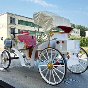 Carrozas eléctricas de turismo y carrozas de boda personalizables, directamente de fábrica, a precios bajos. - Product Image 2