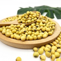 Soja jaune chinois à haute teneur en protéines récolté en 2022 / Grains de soja pour l'alimentation animale
