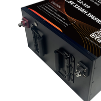 Batería de Litio LiFePO4 de 12V 310Ah 620Ah, Batería de Ciclo Profundo con Carcasa Metálica para RV, Energía Solar, Marina