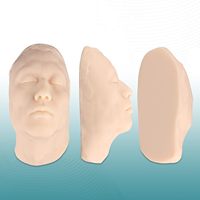 Maniquí de entrenamiento de inyección, modelo de cara, modelo de cabeza de inyección Facial, modelo de entrenamiento de inyección de enseñanza de esteticista