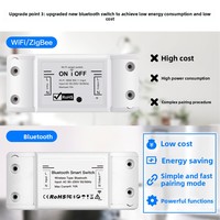 Interruptor Temporizador Inteligente con Control Remoto para Aplicaciones, con 2 Años de Garantía, Certificado CE ROHS para Hogar Inteligente, CA 90-250V, PC/Cobre