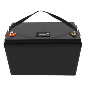 Batería de Ciclo Profundo Personalizada de Fábrica 38.4V/51.2V 105Ah para Carrito de Golf IP67 5000+ Ciclos Bixell BL-GC OEM/ODM - Product Image 6